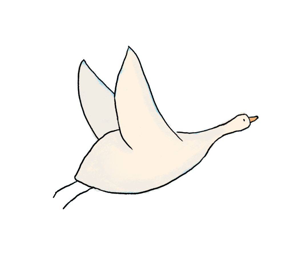 Goose flying away